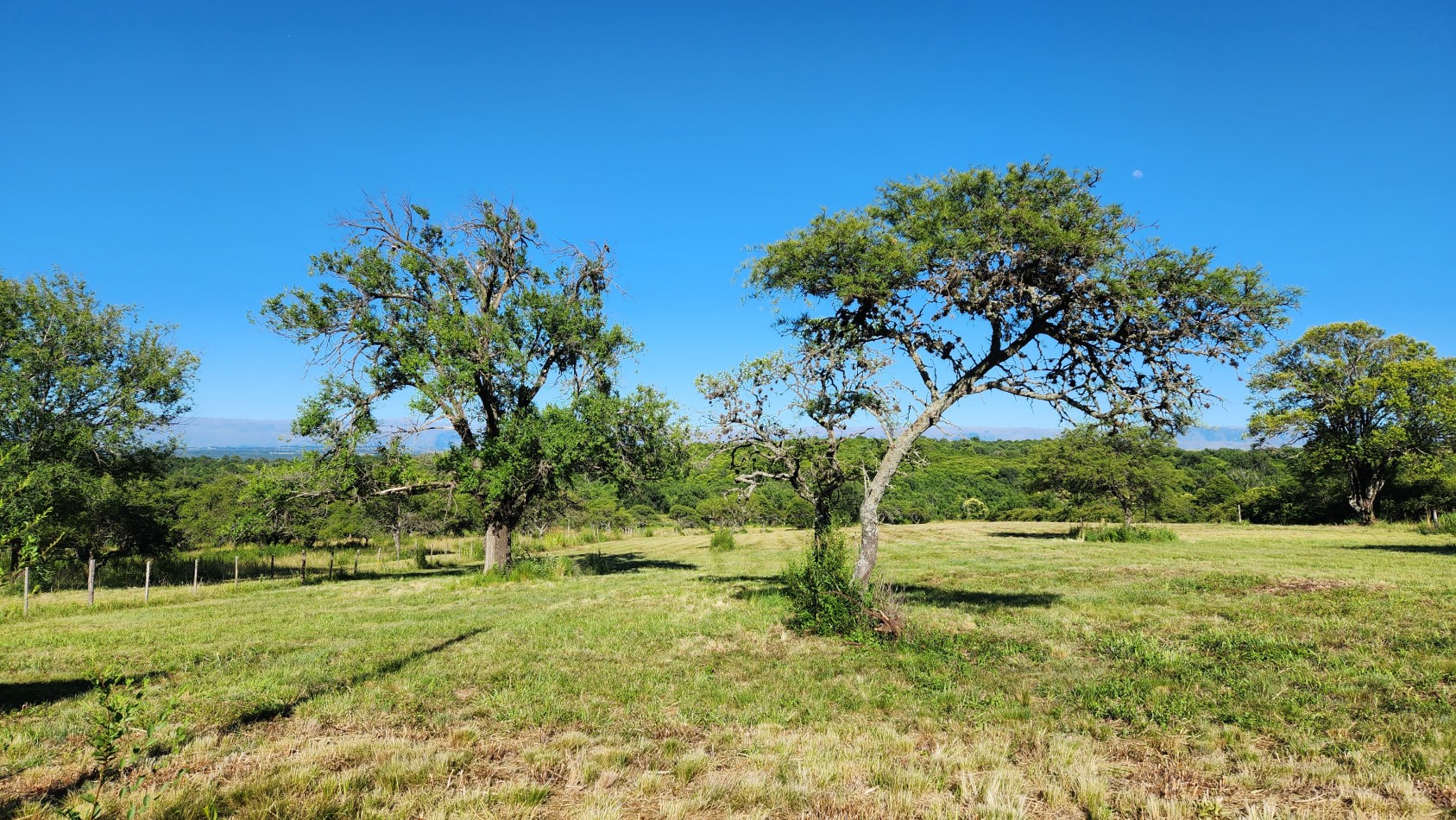 Lote de 2.500m2 en Villa General Belgrano